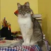 Отзыв от Анфиса Васильева